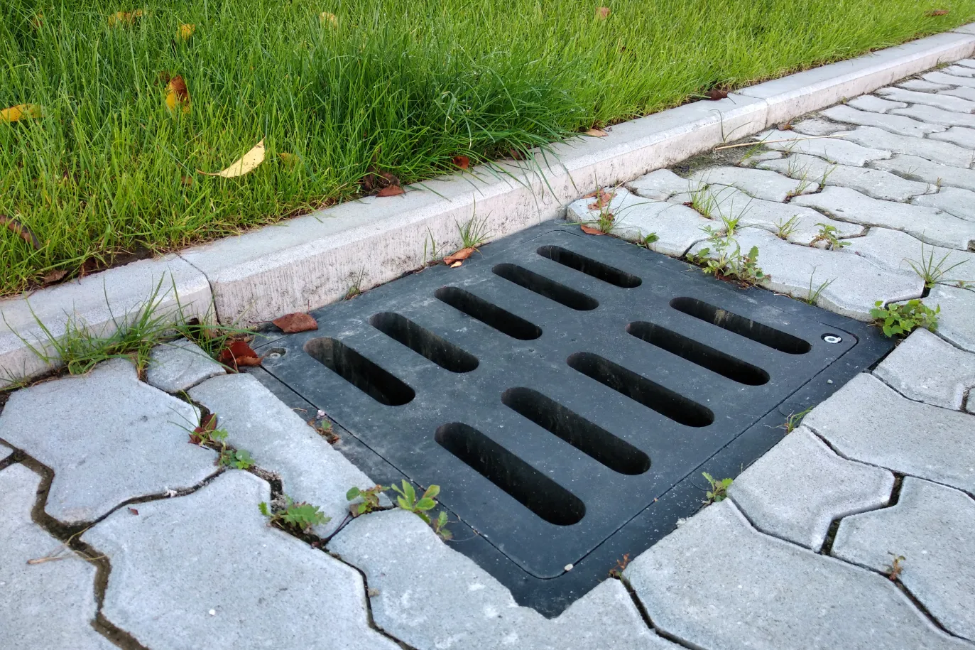 black plastic drain grate in stone paving beside grass